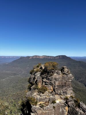 The Greater Blue Mountains World Heritage Site, inscribed in 2000, consists sandstone plateaux, escarpments and gorges dominated by temperate eucalypt forest. 