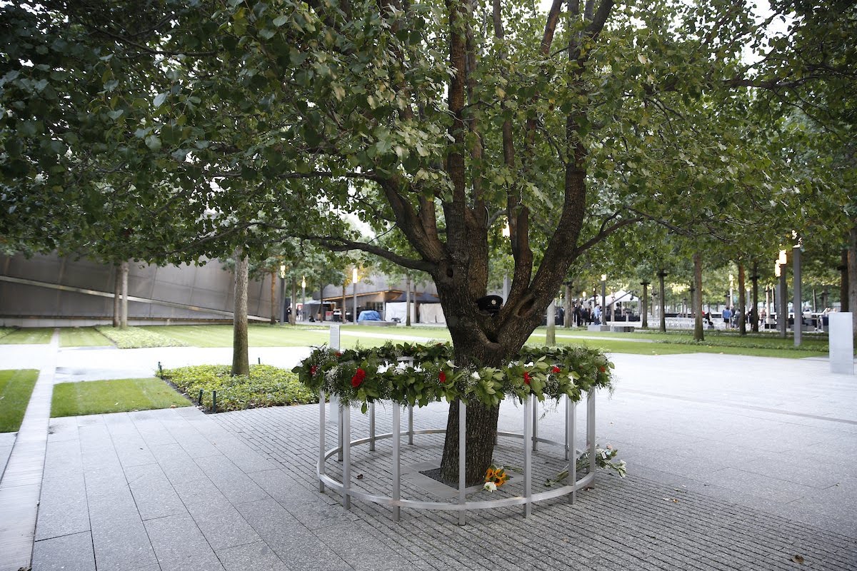 The 9/11 Survivor Tree stands with a floral wreath wrapped around the metal barrier. Two flower bouquets lay on at the base. Image Credit: 9/11 Memorial & Museum, Photograph by Jin S. Lee.